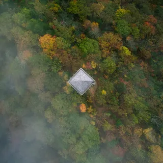 森林*房屋的鸟瞰图