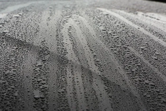 棕壤，雨，雨滴，雨，湿，雨滴，运输，背景