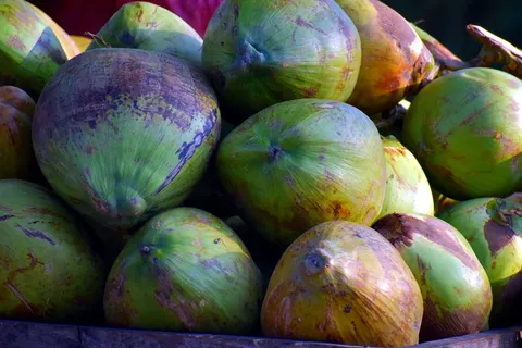 椰子、核果、椰子、椰子、水果、食品、食品和饮料、健康饮食