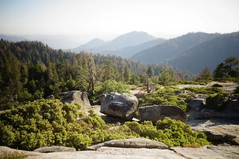 山上有树木的岩石 山上有树木的岩石