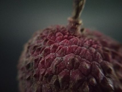 印度，muzaffarpur，raja nagar road，水果，荔枝，特写，工作室拍摄，室内