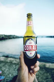 个人,持有,1872年,珊瑚,cerveta 20瓶,饮料,啤酒,cerveja 个人,持有,1872年,珊瑚,cerveta 20瓶,饮料,啤酒,cerveja