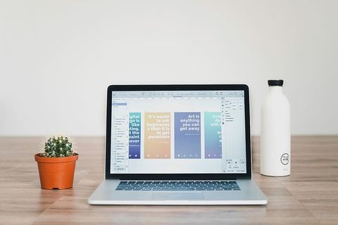 在绿色仙人掌植物附近打开MacBook Pro 在绿色仙人掌植物附近打开MacBook Pro