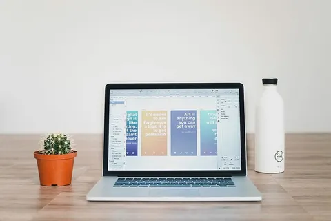 在绿色仙人掌植物附近打开MacBook Pro 在绿色仙人掌植物附近打开MacBook Pro