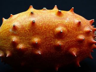 Kiwano，水果，角，黄瓜，角黄瓜，多刺，角瓜，甜黄瓜