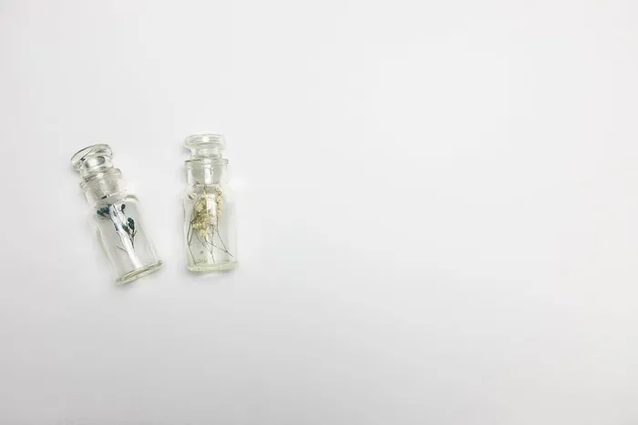 瓶子，罐子，植物，最小平铺，瓶子，年份，平铺，白色