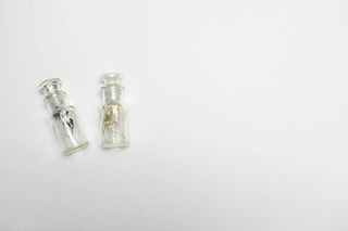 瓶子，罐子，植物，最小平铺，瓶子，年份，平铺，白色