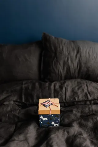 送给可爱小狗的圣诞礼物