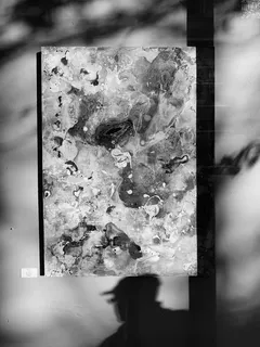 灰色微生物, 没有人, 特写, 低温, 户外, 冻结, 自然, 专注于前景