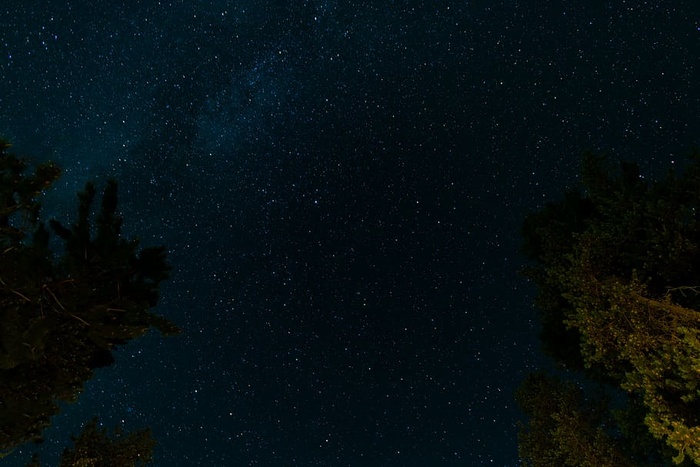 黑暗，夜晚，天空，星星，树木，天文学，恒星空间，银河系