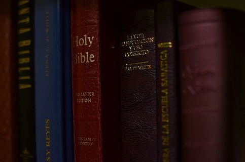 关于聚焦摄影的各种书籍 关于聚焦摄影的各种书籍