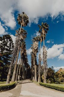 葡萄牙里斯本贝伦热带植物园