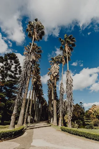 葡萄牙里斯本贝伦热带植物园