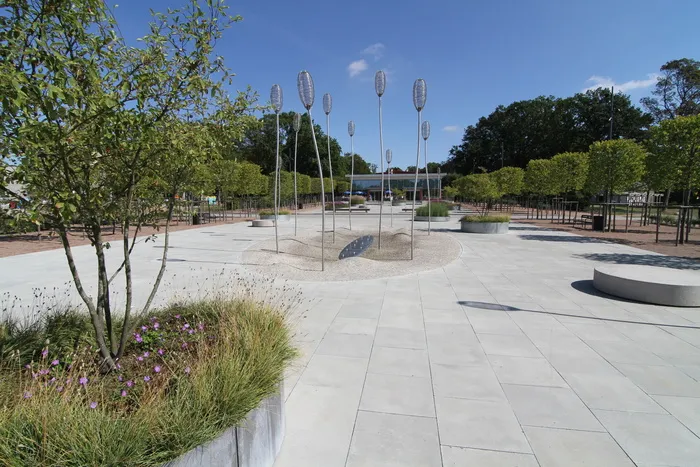 城市公园树林，混凝土板，夏季，植物，树木，自然，天空，人行道