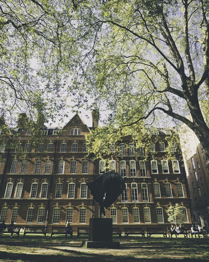 英国伦敦，树，草，马，雕像，纪念碑，阴影