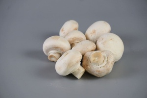 采购产品巴黎蘑菇，真菌学，食用菌，风味，电力，食品，膳食，食品