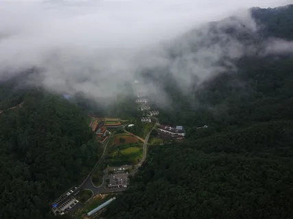 云、航拍照片、路线图、树、雾、场景-自然、环境、植物 云、航拍照片、路线图、树、雾、场景-自然、环境、植物