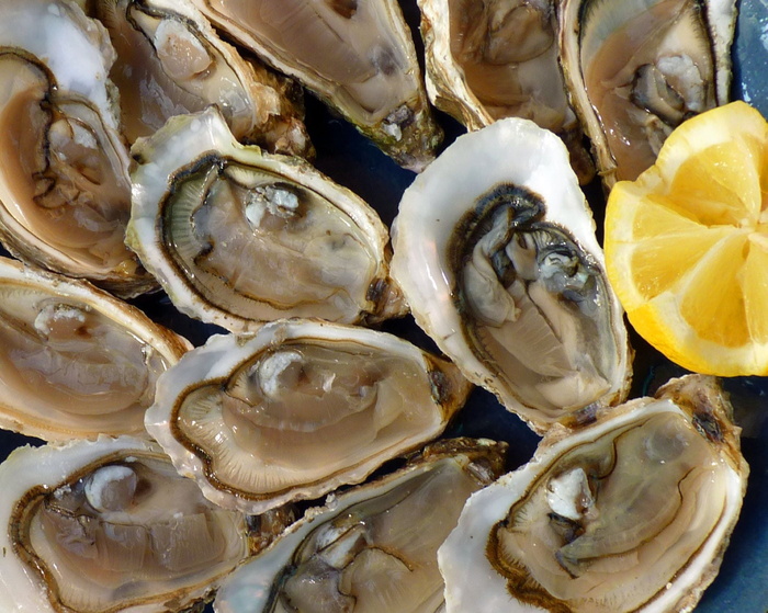 牡蛎、柠檬片、假日、大海、大海、传统、海鲜、食物