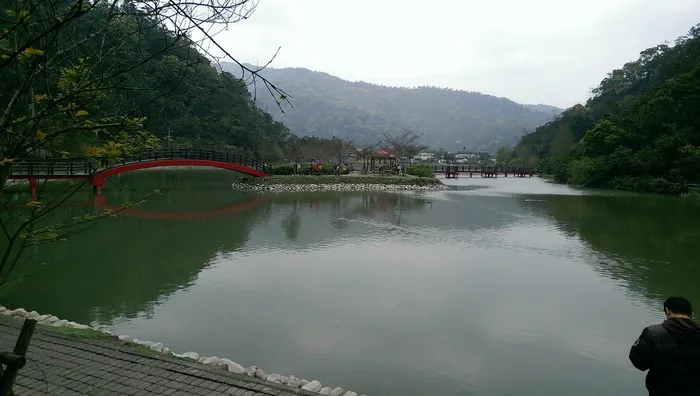 *，景观，*，景观，水，反射，户外，树，天