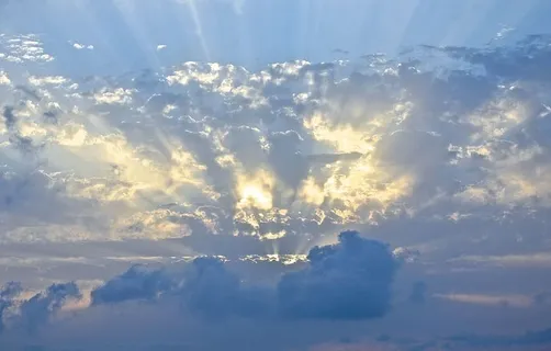 太阳光,伞形云,蕨类植物,光线,太阳光,天空,日落,太阳 太阳光,伞形云,蕨类植物,光线,太阳光,天空,日落,太阳