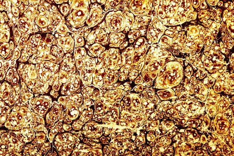 con2011，背景，损坏，垃圾，纸张，壁纸，全画框，背景