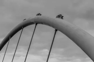 弓，卡托维兹，黑白，建筑，夜晚，黑白，波兰，天空