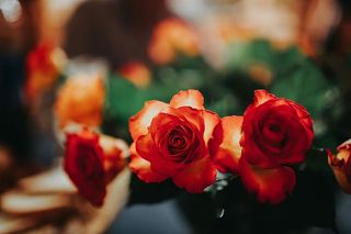 花朵排列成美丽的花束