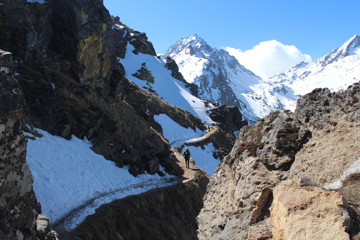 雪，顶部，山，白天，尼泊尔，朗唐，徒步旅行，尼泊尔徒步旅行