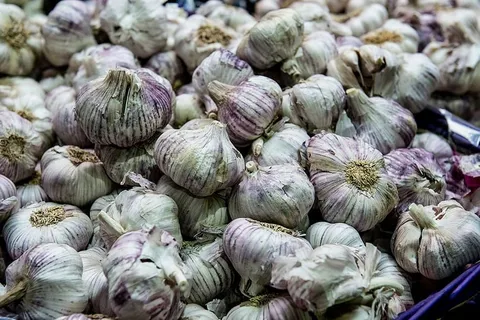 大蒜,特写,配料,配料,洋葱,蔬菜,蔬菜,食品 大蒜,特写,配料,配料,洋葱,蔬菜,蔬菜,食品