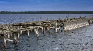 瑞典，码头，码头，受损，湖泊，水，河流，森林