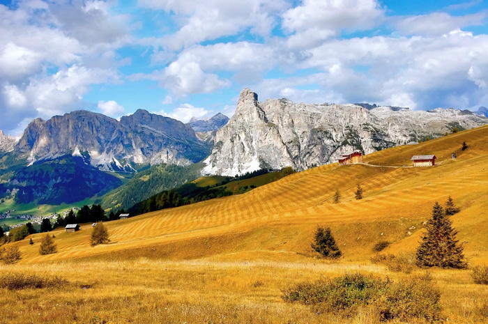 Sassongher，pralongia，alta badia，alm，自然，享受，夏天，田园诗