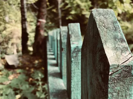 围栏、自然、野生、荒野、树木、森林、自然、探险