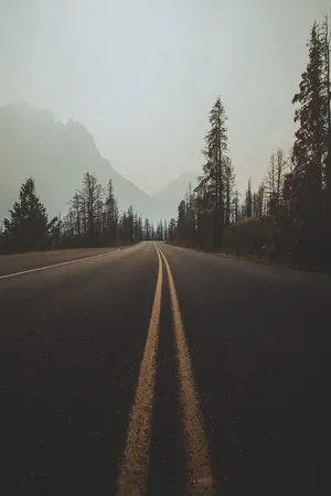 道路、运动、驾驶、驾驶、路面、沙漠、泥土、景观