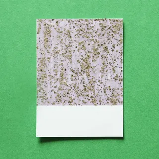 绿色表面上的白色和绿色纸张