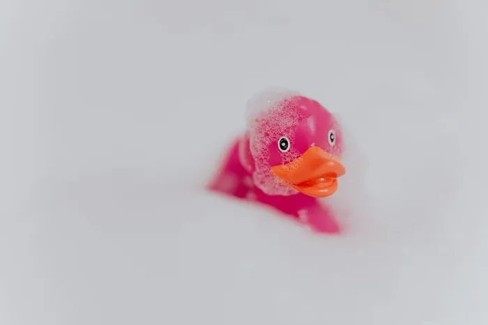 粉色橡胶泡棉鸭