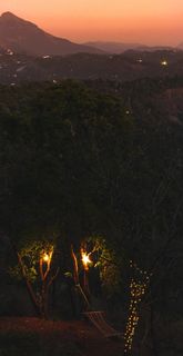 火、绘画、艺术、森林火、火焰、光、火炬、篝火