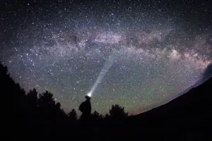 夜，树，银河，天空，星星，头灯，奇迹，看
