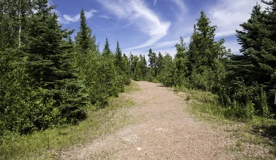 安大略省鹰峡谷峡谷之路 安大略省鹰峡谷峡谷之路