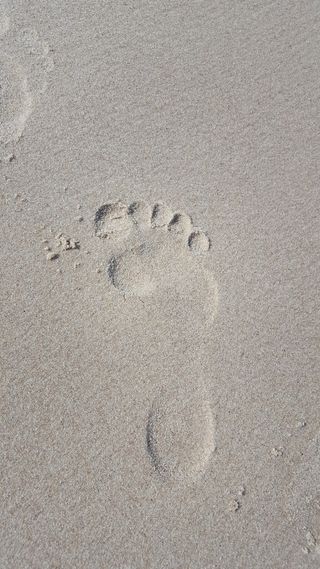 印记，速率，海滩，速率，沙子，足迹，轨迹-印记，爪印
