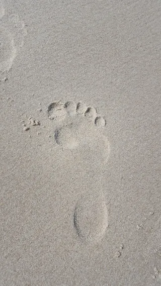 印记，速率，海滩，速率，沙子，足迹，轨迹-印记，爪印
