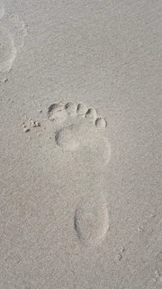 印记,速率,海滩,速率,沙子,足迹,轨迹-印记,爪印 印记,速率,海滩,速率,沙子,足迹,轨迹-印记,爪印