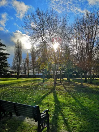 英国，阿什福德，西伦敦，植物，树，天空，阳光，草，长椅