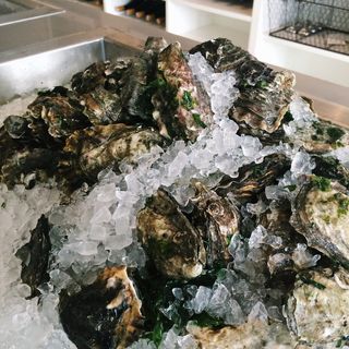 美国，旧金山，牡蛎，海鲜，室内，无人，特写，固体