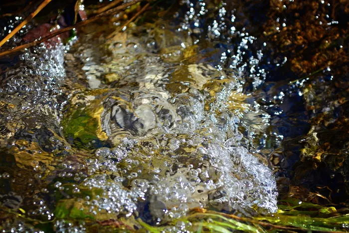 水，水，巴赫，泡泡，点心，气泡，水滴，自然