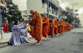 施舍，律师，顺化，越南语，增加律师，越南，佛教，腮腺炎