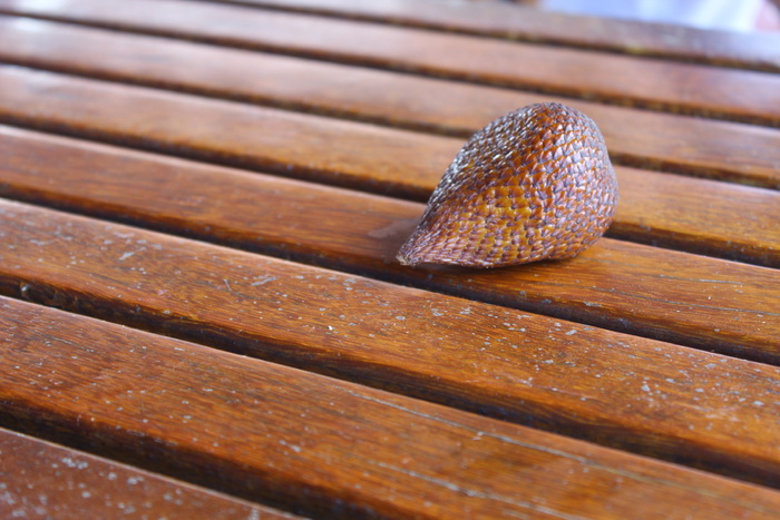 salak，lebar cm岛，木质材料，特写，无人物，图案，棕色，白天