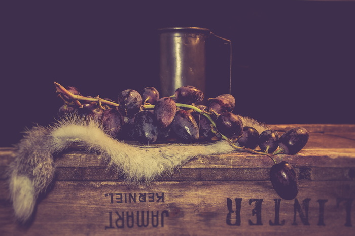 年份，Stilleven，葡萄，水果，绘画，构图，水果，蓝葡萄