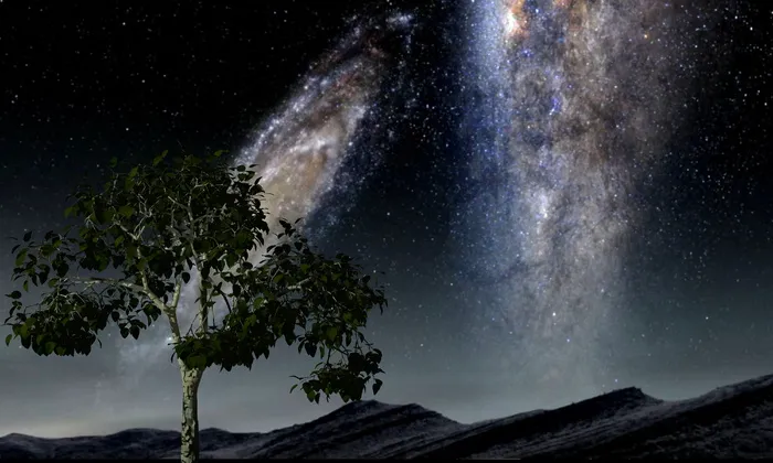 绿色，绿叶，树木，夜间，恒星，太空，星系，宇宙
