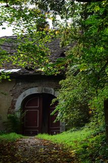 老房子，宅基地，树木，房子，旧，旧门，建筑结构，建筑外观