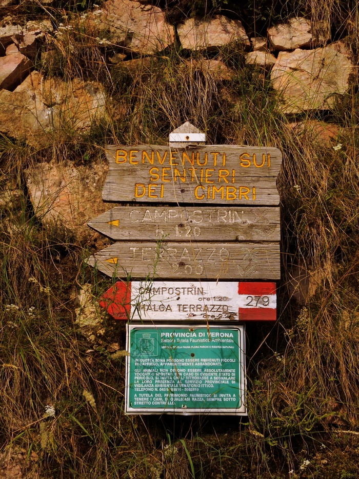 十字路口、信号、卡特尔、徒步旅行、步行、箭头、文字、西文脚本